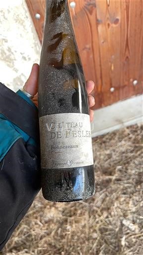 Valle della Loira Bonnezeaux Château Fesles 2000