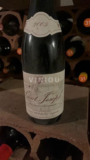 Lugina e Ronës Shën Jozefi Olivier Beraud 2005