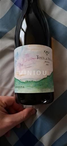 Toscana Tenuta La Novella Sambrena 2023