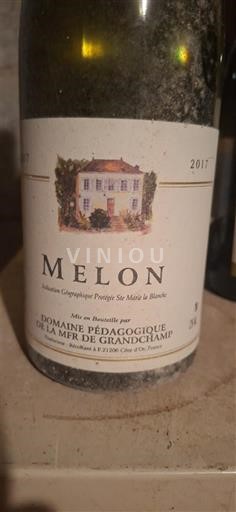 Lugina e Luarës Muscadet Domaine Pédagogique de la MFR de Grandchamp Melon 2017