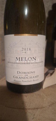 Loirevallei Saint-Nicolas-De-Bourgueil Domaine Grandchamp Melon 2018