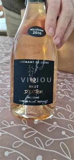 Lugina e Luarës Crémant de Loire Bonnigal-Bodet Vignerons D'enfer 2016