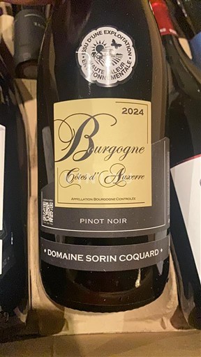 Burgundija Nespecificirano Domaine Sorin Coquard 2024