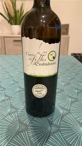 Jugperëndim Bregdeti i Gasconisë Embidoure des Filles 2024