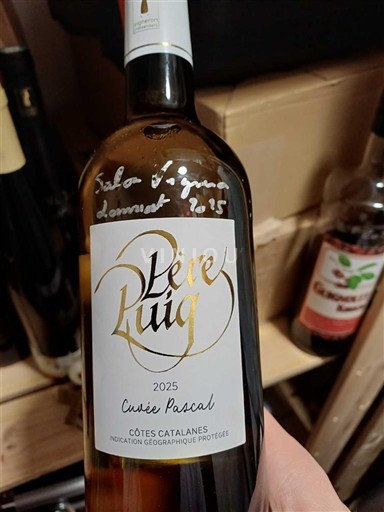 Languedoc og Roussillon Katalanske skråninger Père Luig Pascal 2025