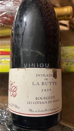 Loiredalen Bourgueil Domaine La Butte Les Coteaux du Levant 2019