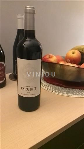 Bordoja Montagne-saint-émilion Château Farguet 2017