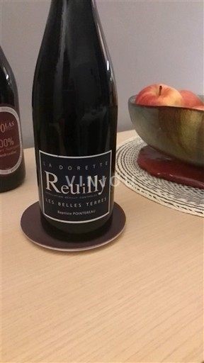 Lugina e Luarës Reuilly Baptiste Pointrenaud La Dorette Les Belles Terres 2018