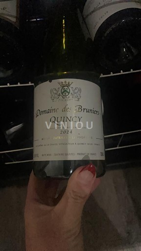 Lugina e Luarës Kuinci Domaine Bruniers 2024