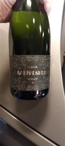 Katalonja Kava Bienvenido Jo Viti