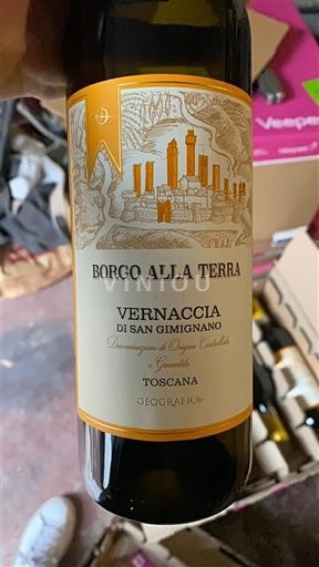 Toscana Vernaccia di San Gimignano Borgo Alla Terra Ikke-årgang