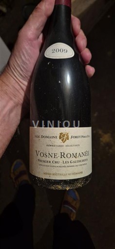 Bourgogne Vosne-romanée Premier Cru Domaine Forey Père et Fils Premier Cru Les Gaudichots 2009