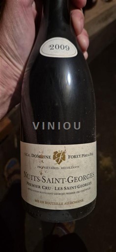Burgundija Nuits-Saint-Georges Premier Cru Domaine Forey Père & Fils Les Saint-Georges 2009