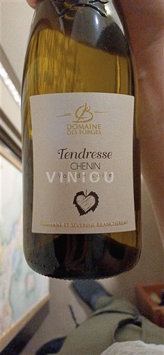 Loire-dalen Anjou Domaine Forges Tendresse Chenin 2023
