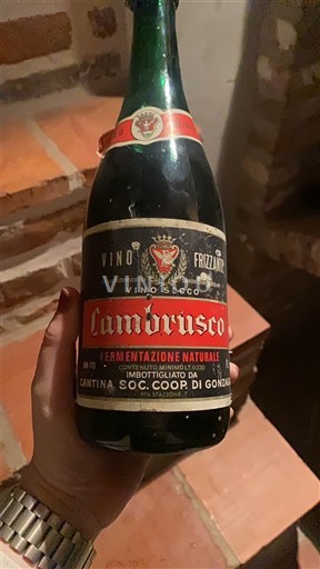 Emilia-Romagna Lambrusco Cantina Soc. Coop di Gonzaga Ikke-årgang