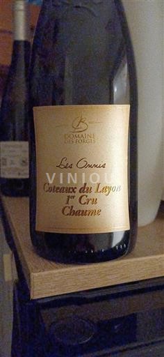 Loiredalen Ospecificerad Premier Cru Domaine Forges Les Onnis 2020