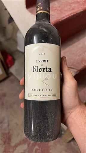 Bordoja Saint-Julien Domaine Domaines Henri Martin Esprit de Gloria 2018