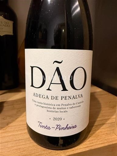 Португалија Дао Adega de Penalva Tinta-Pinheira 2020