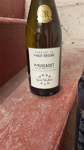 Lugina e Luarës Muscadet-kodra-e-vendit-të-madh Domaine Haut Bourg 2023