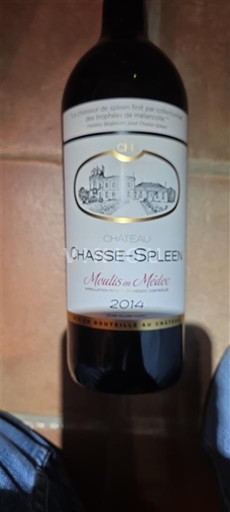 Bordeaux Moulis-en-Médoc Château Chasse-Spleen 2014