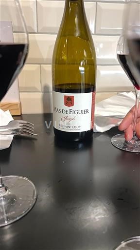 Languedok Pic-saint-loup Mas de Figuier Fayel 2023