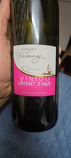 Lugina e Luarës Cabernet-d'anjou Domaine Delaunay Jo Viti
