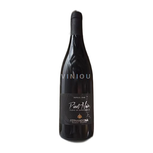 Вале Fernand Cina 2021