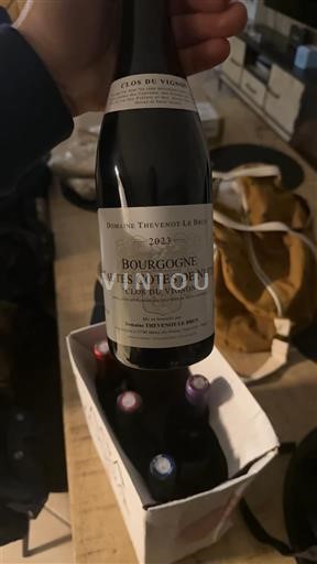 Burgundija Hautes Côtes de Nuits Domaine Thirénot-La Bertr Clos du Vignon 2021