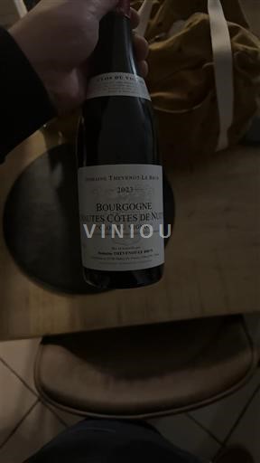 Burgundija Hautes Côtes de Nuits Domaine Thévenot-Le Brun Clos du Prieuré 2023