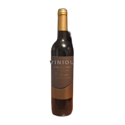 Португалија Алентежу Tiago Cabaço 2022