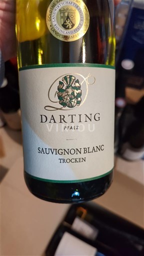 Pfalz Pfalц Darting 2023