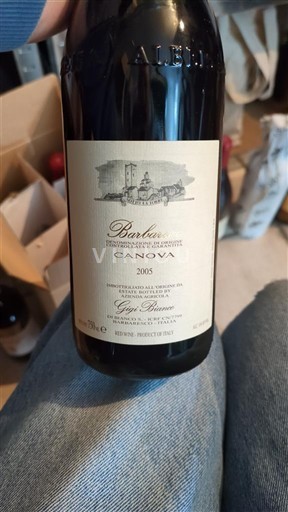 Pijemont Барбареско Gigi Rosso Canova 2005