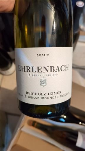 Frankonia E paspecifikuar Ehrlenbach Florian & Philipp 2021