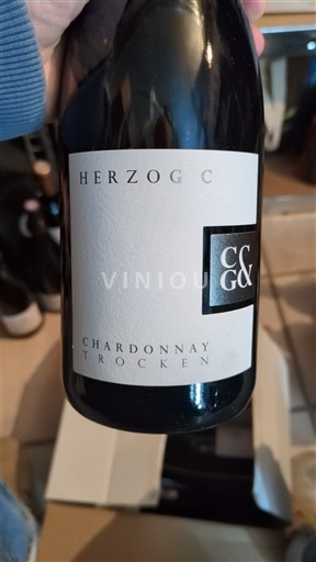 Баден Herzog C 2022