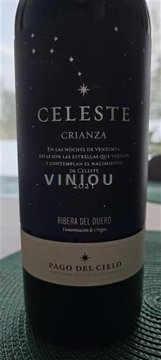 Kastilja dhe Leoni Ribera del Duero Pago del Cielo Celeste Crianza 2021