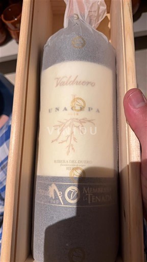 Castilla og León Ribera del Duero Valduero Una Cepa Ikke-årgang