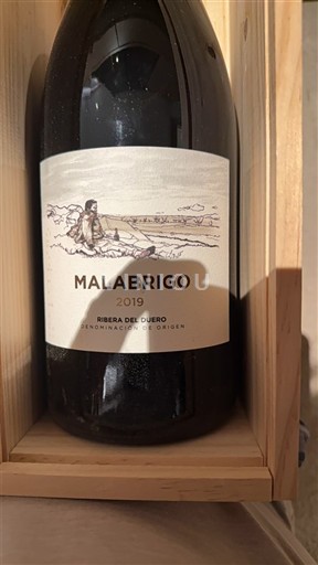 Castilla og León Ribera del Duero Bodegas Cepa 21 Malabrigo 2019