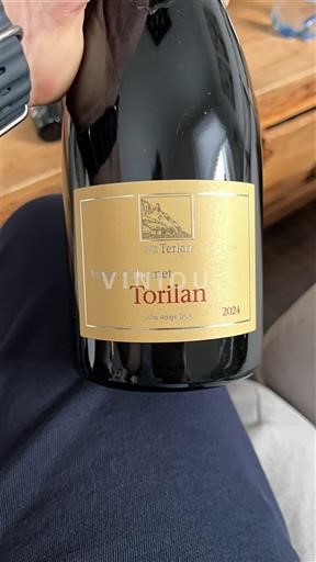 Trentino-Sør-Tyrol Trentino-Alto Adige Terlan Torilan 2024