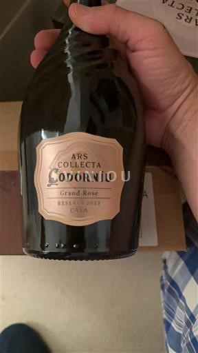 Katalonja Kava Codorníu Ars Collecta Grand Rosé 2022