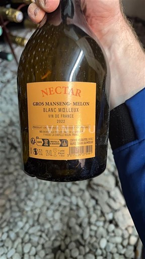 Jugperëndim E paspecifikuar Nectar 2022