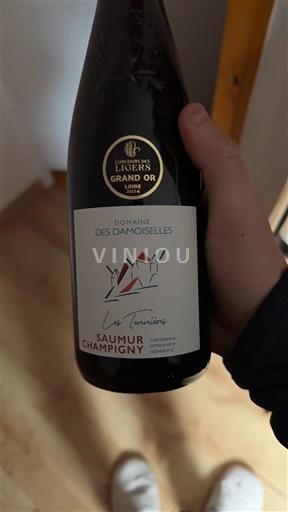 Dolina Loare Сомир-шампини Domaine Damoiselles Les Terrières Non Millésimé