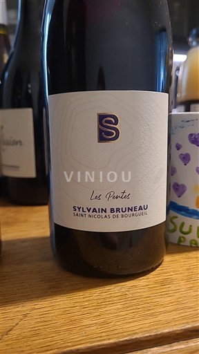 Lugina e Luarës Shën Nikolla i Burgelit Sylvain Bruneau Les Pontes Jo Viti