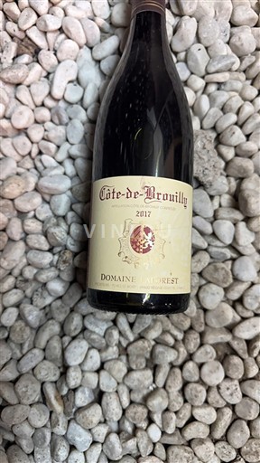 Beaujolais Côte-de-brouilly Domaine Laforest 2017