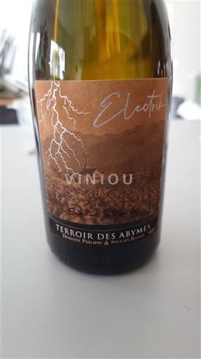 Savoja i Bugej Аби̂м Domaine Philippe & Sylvain Ravier Terroir des Abymes Électrik 2022