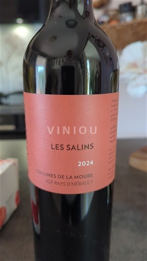 Lengdok dhe Rusionjë Kodrat e Mouřit Les Salins Villa exindrio 2024