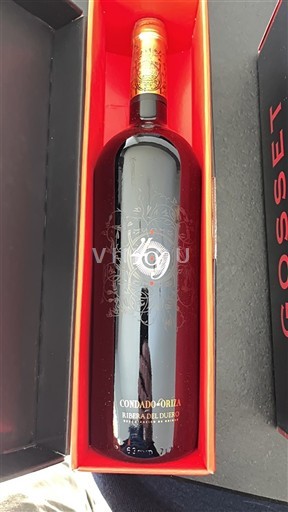 Kastilja dhe Leoni Ribera del Duero Condado de Oriza 69 Jo Viti