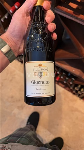 Рона долина Gigondas Fleuron 2023