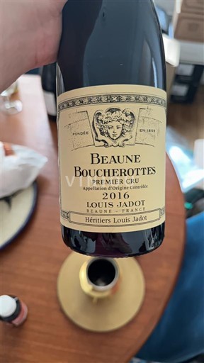 Burgundi E paspecifikuar Premier Cru Louis Jadot Héritiers Louis Jadot 2016