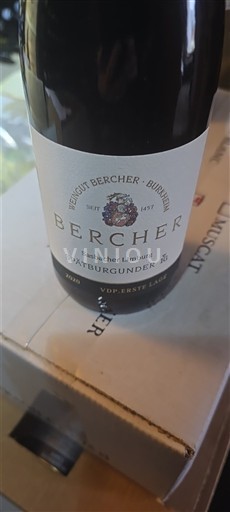 Baden Kaiserstuhl Bercher 2020