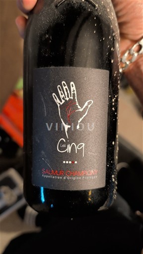 Dolina Loare Сомир-шампини Les Cinq 2015